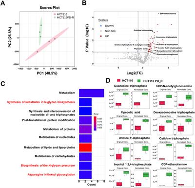 Investigation on acquired palbociclib resistance by LC-MS based multi-omics analysis